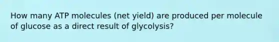 How many ATP molecules (net yield) are produced per molecule of glucose as a direct result of glycolysis?