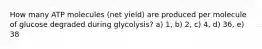 How many ATP molecules (net yield) are produced per molecule of glucose degraded during glycolysis? a) 1, b) 2, c) 4, d) 36, e) 38