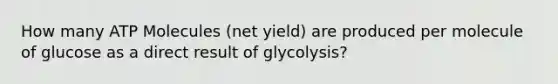 How many ATP Molecules (net yield) are produced per molecule of glucose as a direct result of glycolysis?