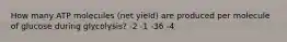 How many ATP molecules (net yield) are produced per molecule of glucose during glycolysis? -2 -1 -36 -4