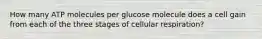 How many ATP molecules per glucose molecule does a cell gain from each of the three stages of cellular respiration?