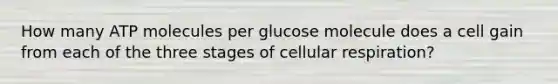 How many ATP molecules per glucose molecule does a cell gain from each of the three stages of cellular respiration?