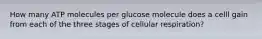 How many ATP molecules per glucose molecule does a celll gain from each of the three stages of cellular respiration?