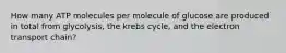 How many ATP molecules per molecule of glucose are produced in total from glycolysis, the krebs cycle, and the electron transport chain?