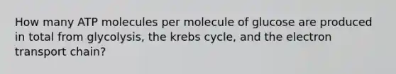 How many ATP molecules per molecule of glucose are produced in total from glycolysis, the krebs cycle, and the electron transport chain?