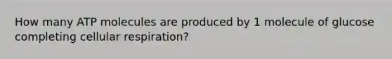 How many ATP molecules are produced by 1 molecule of glucose completing cellular respiration?