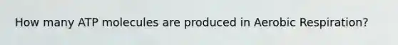 How many ATP molecules are produced in <a href='https://www.questionai.com/knowledge/kyxGdbadrV-aerobic-respiration' class='anchor-knowledge'>aerobic respiration</a>?