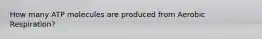 How many ATP molecules are produced from Aerobic Respiration?