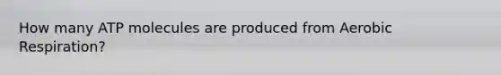 How many ATP molecules are produced from Aerobic Respiration?