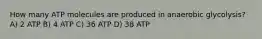 How many ATP molecules are produced in anaerobic glycolysis? A) 2 ATP B) 4 ATP C) 36 ATP D) 38 ATP