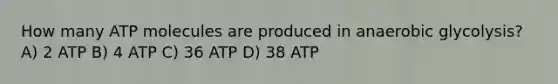 How many ATP molecules are produced in anaerobic glycolysis? A) 2 ATP B) 4 ATP C) 36 ATP D) 38 ATP