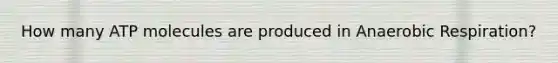 How many ATP molecules are produced in An<a href='https://www.questionai.com/knowledge/kyxGdbadrV-aerobic-respiration' class='anchor-knowledge'>aerobic respiration</a>?