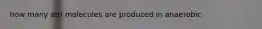 how many atp molecules are produced in anaerobic