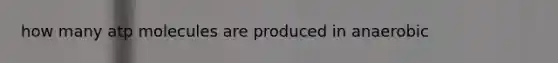 how many atp molecules are produced in anaerobic