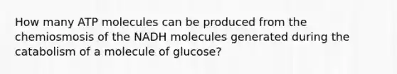 How many ATP molecules can be produced from the chemiosmosis of the NADH molecules generated during the catabolism of a molecule of glucose?