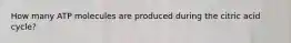 How many ATP molecules are produced during the citric acid cycle?