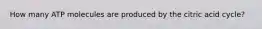 How many ATP molecules are produced by the citric acid cycle?