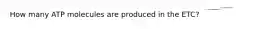 How many ATP molecules are produced in the ETC?