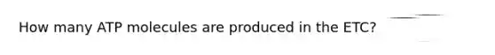 How many ATP molecules are produced in the ETC?