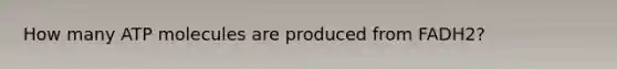 How many ATP molecules are produced from FADH2?