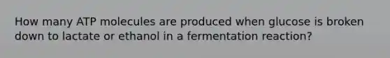 How many ATP molecules are produced when glucose is broken down to lactate or ethanol in a fermentation reaction?