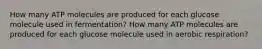 How many ATP molecules are produced for each glucose molecule used in fermentation? How many ATP molecules are produced for each glucose molecule used in aerobic respiration?