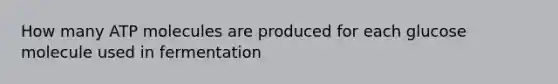 How many ATP molecules are produced for each glucose molecule used in fermentation