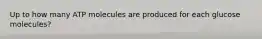 Up to how many ATP molecules are produced for each glucose molecules?