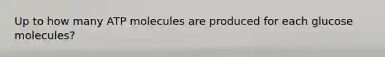 Up to how many ATP molecules are produced for each glucose molecules?