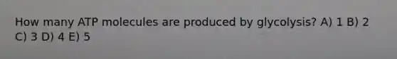How many ATP molecules are produced by glycolysis? A) 1 B) 2 C) 3 D) 4 E) 5