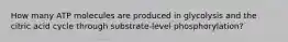 How many ATP molecules are produced in glycolysis and the citric acid cycle through substrate-level phosphorylation?