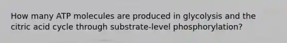 How many ATP molecules are produced in glycolysis and the citric acid cycle through substrate-level phosphorylation?