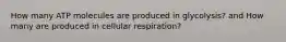 How many ATP molecules are produced in glycolysis? and How many are produced in cellular respiration?
