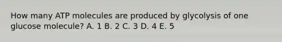 How many ATP molecules are produced by glycolysis of one glucose molecule? A. 1 B. 2 C. 3 D. 4 E. 5