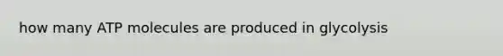 how many ATP molecules are produced in glycolysis