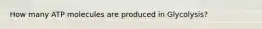 How many ATP molecules are produced in Glycolysis?