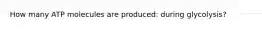 How many ATP molecules are produced: during glycolysis?