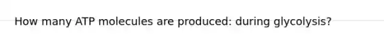 How many ATP molecules are produced: during glycolysis?