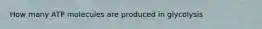 How many ATP molecules are produced in glycolysis