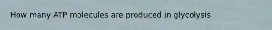 How many ATP molecules are produced in glycolysis