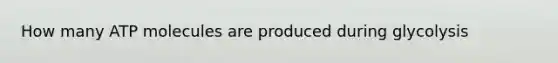 How many ATP molecules are produced during glycolysis