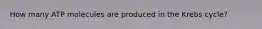 How many ATP molecules are produced in the Krebs cycle?
