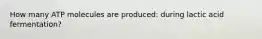 How many ATP molecules are produced: during lactic acid fermentation?