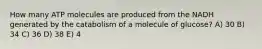 How many ATP molecules are produced from the NADH generated by the catabolism of a molecule of glucose? A) 30 B) 34 C) 36 D) 38 E) 4
