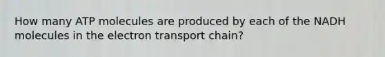 How many ATP molecules are produced by each of the NADH molecules in the electron transport chain?