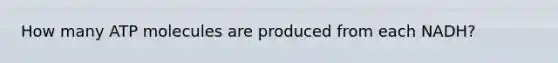 How many ATP molecules are produced from each NADH?