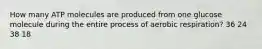 How many ATP molecules are produced from one glucose molecule during the entire process of aerobic respiration? 36 24 38 18