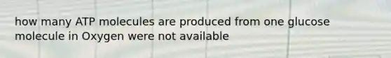 how many ATP molecules are produced from one glucose molecule in Oxygen were not available