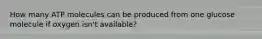 How many ATP molecules can be produced from one glucose molecule if oxygen isn't available?