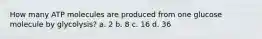 How many ATP molecules are produced from one glucose molecule by glycolysis? a. 2 b. 8 c. 16 d. 36